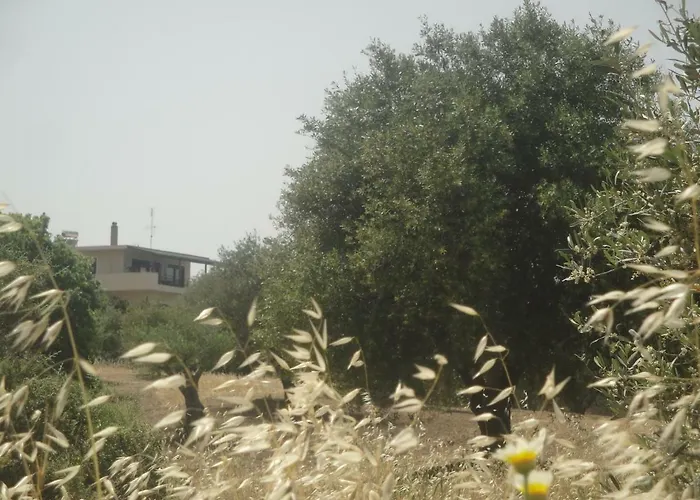 Stan&family * Kalavárda