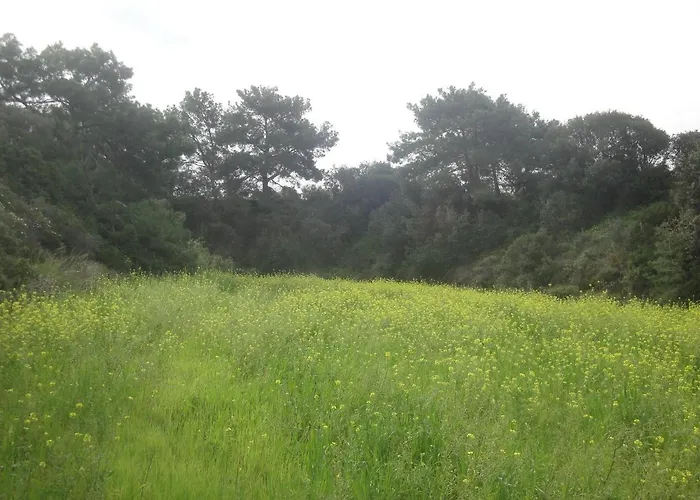 Stan&family Apartment Kalavárda