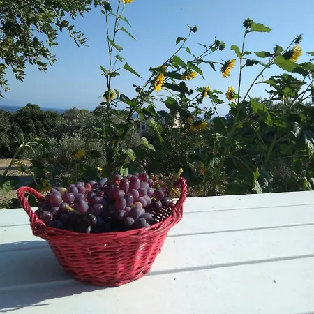 Stan&family Appartement