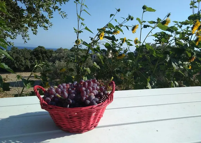 Stan&family Lägenhet