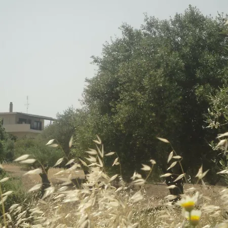 Stan&family * Kalavárda