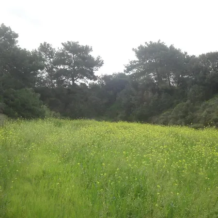 Stan&family Daire Kalavárda