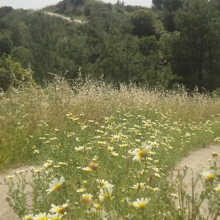 Stan&family * Kalavárda