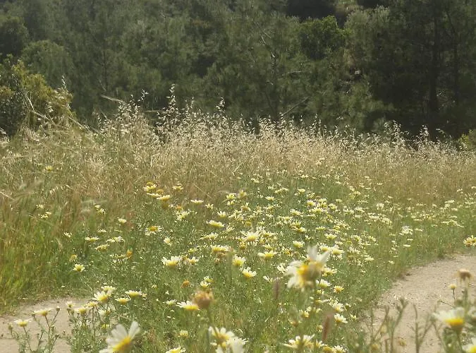 Stan&family * Καλαβάρδα